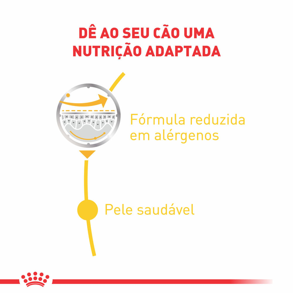racao-umida-royal-canin-dermacomfort-para-caes-adultos-85g