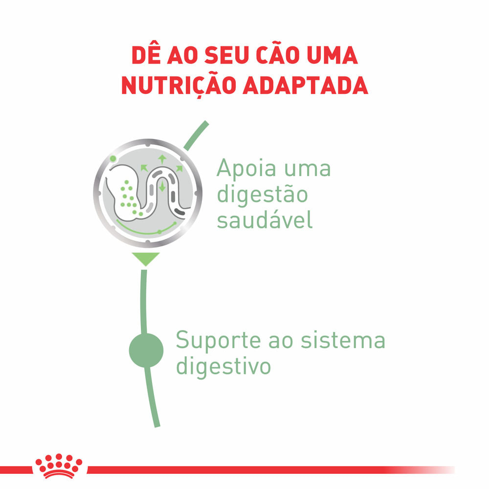 racao-umida-royal-canin-cuidado-digestivo-para-caes-adultos-85g