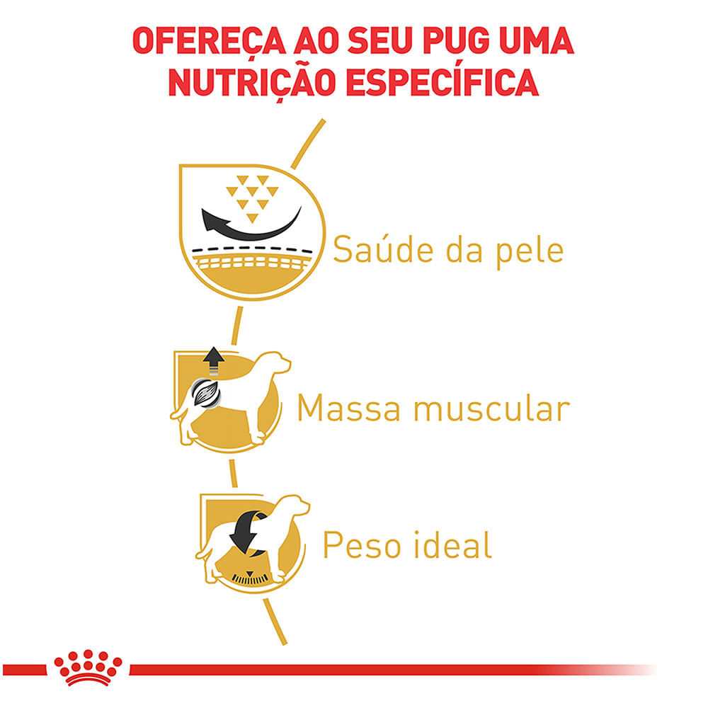 racao-seca-royal-canin-para-caes-adultos-da-raca-pug---1-kg