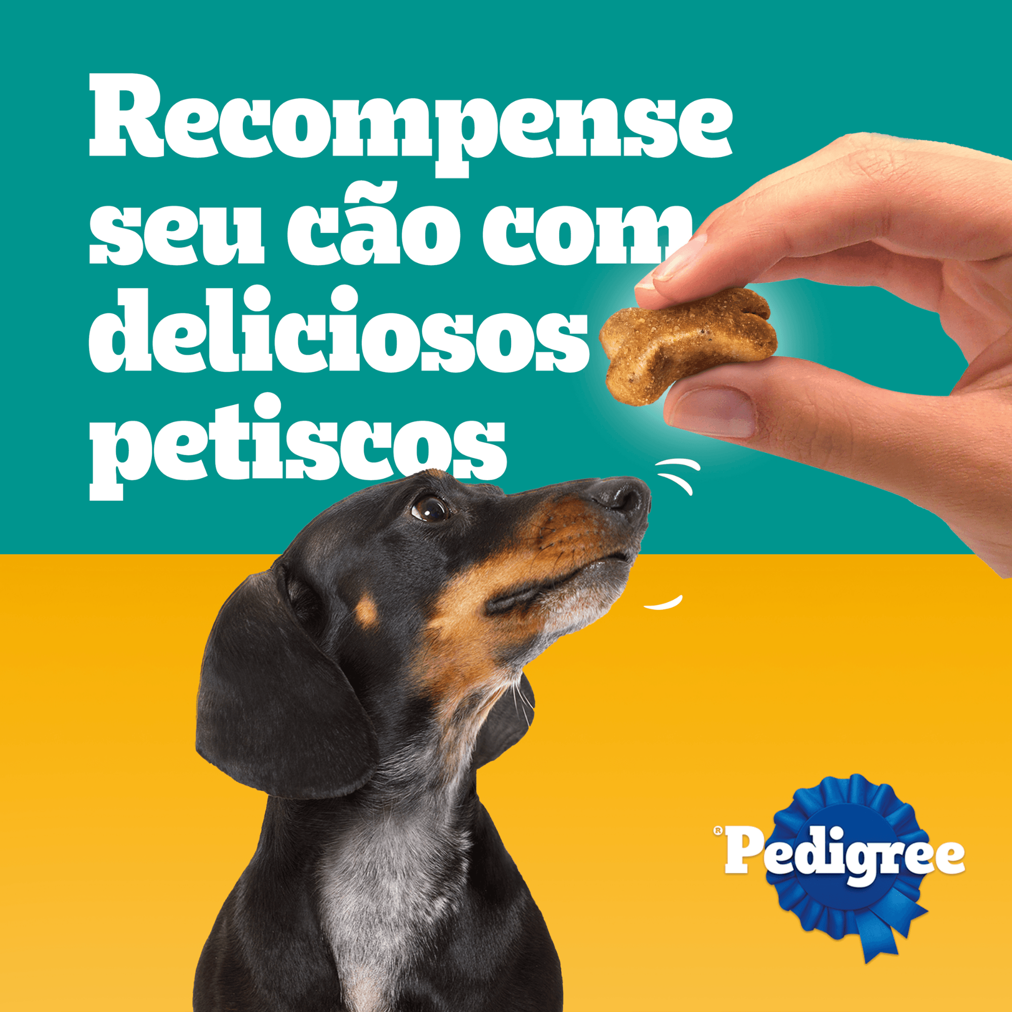 petisco-pedigree-tasty-bites-para-caes-adultos-sabor-carne-suculenta-40g