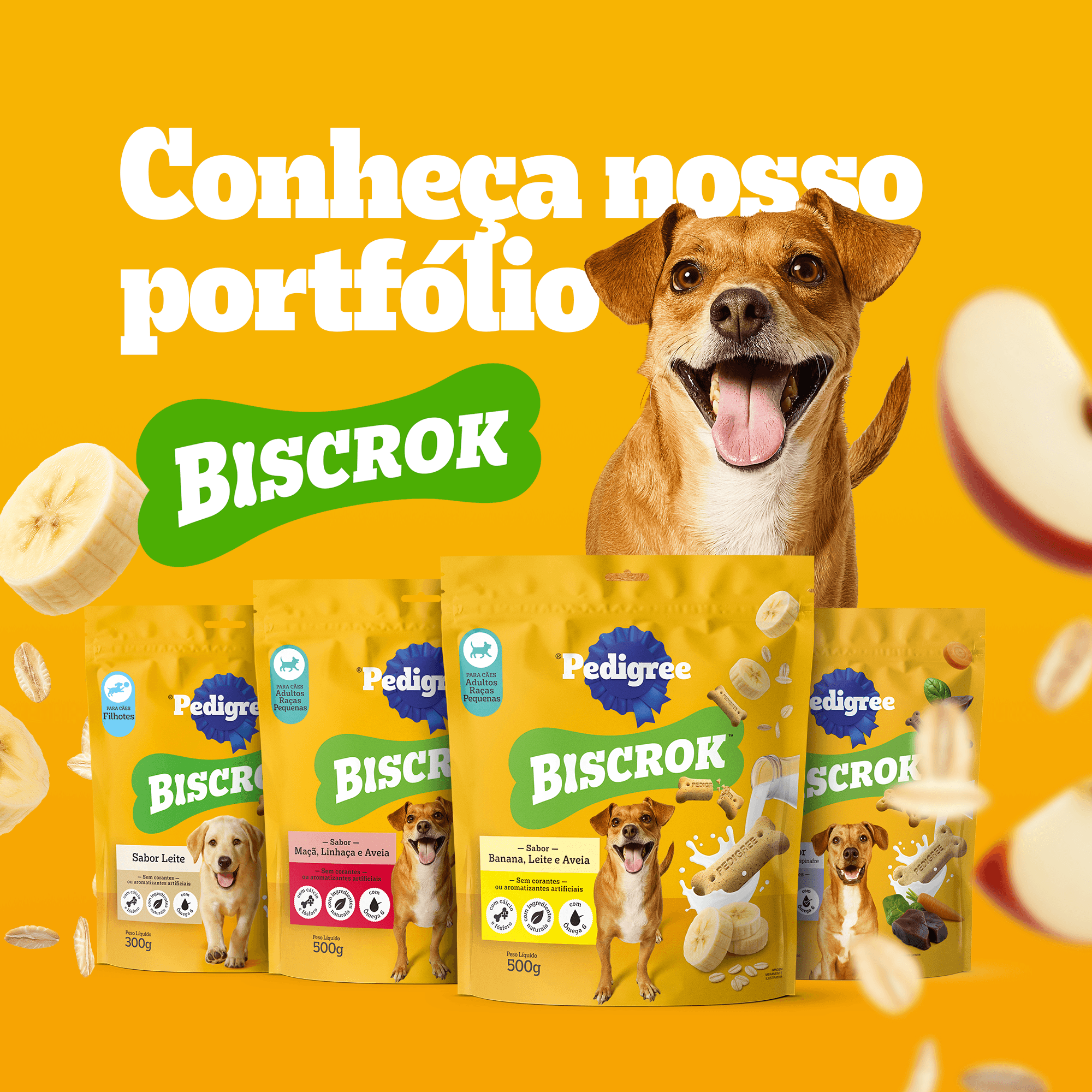 biscoito-pedigree-biscrok-para-caes-adultos-racas-grandes-1-kg