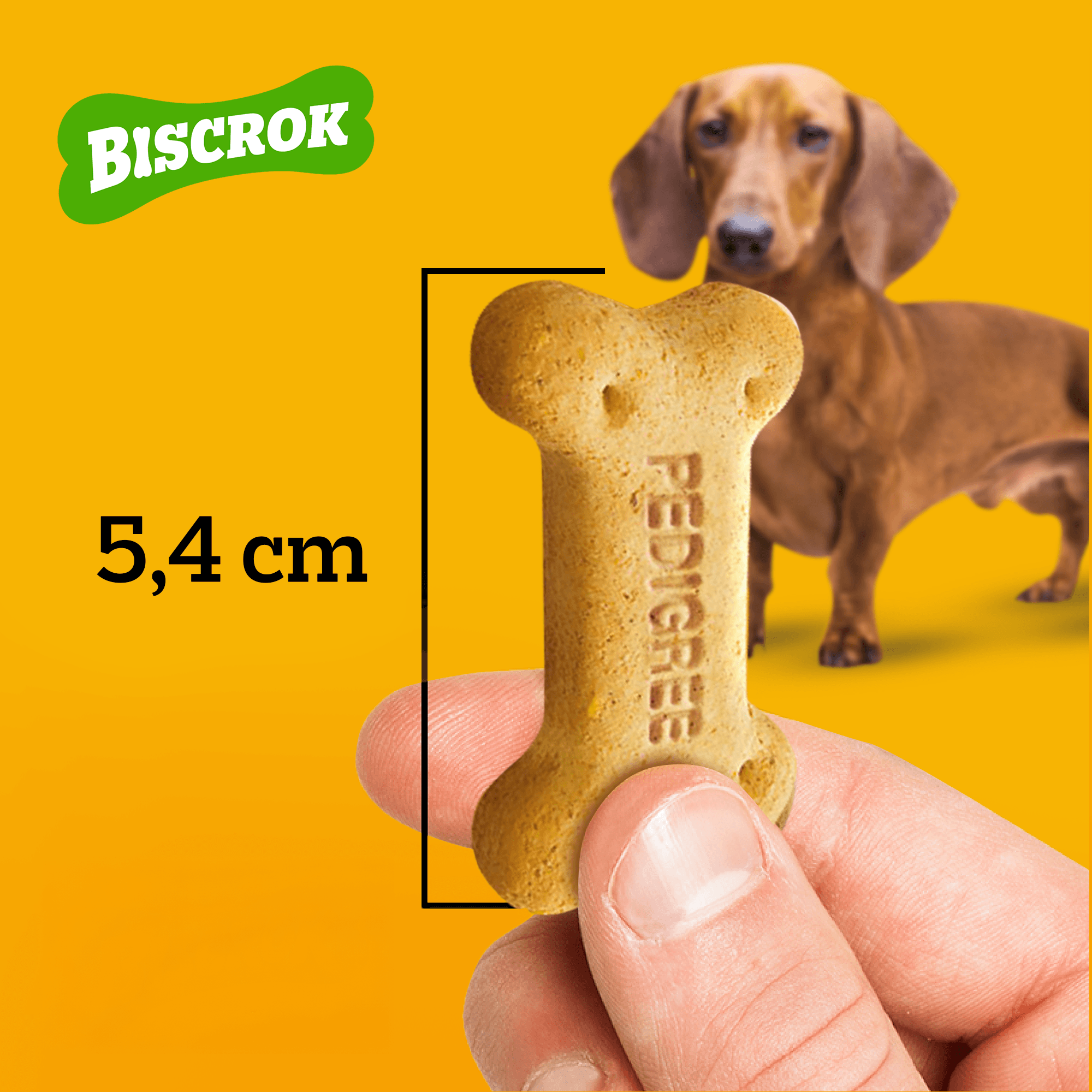 biscoito-pedigree-biscrok-para-caes-adultos-multi-1-kg