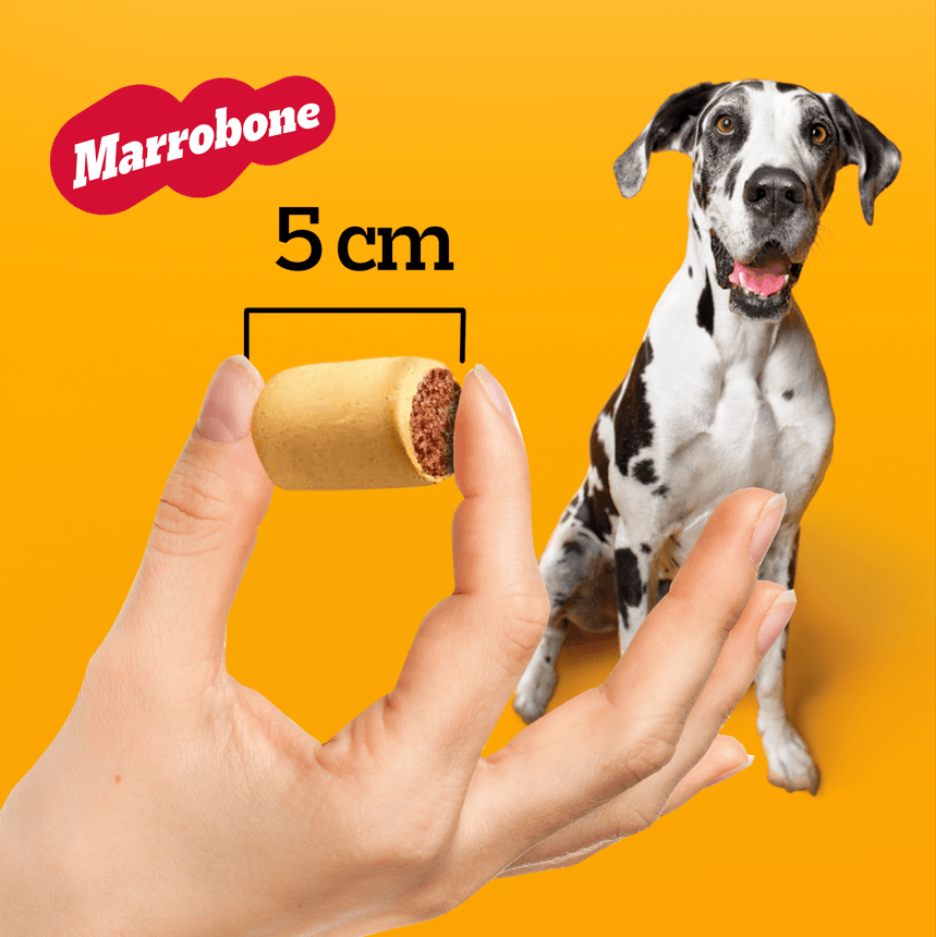 biscoito-pedigree-marrobone-carne-para-caes-adultos-500g
