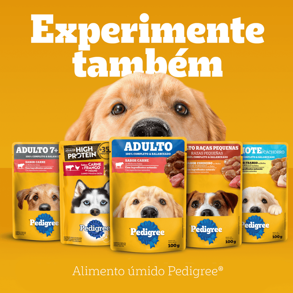 racao-pedigree-nutricao-essencial-carne-para-caes-adultos-900-g